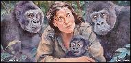 Karolína Borecká - Woman with gorillas, inspired by life of Dian Fossey